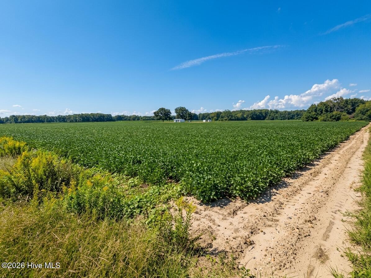 Lot 5 Red Oak Battleboro Road, Battleboro, NC 27809 — photo 3
