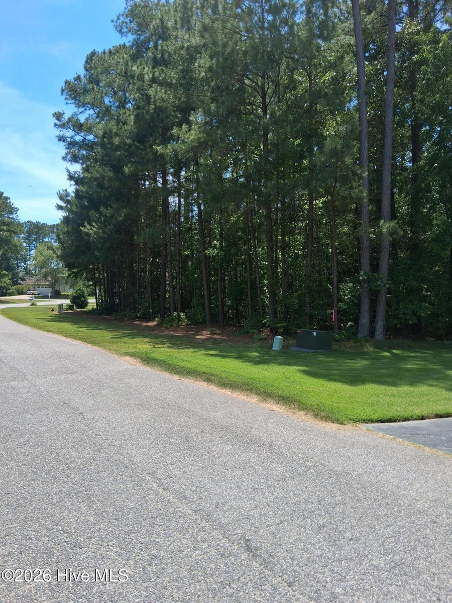 40 Boshers Point Drive Drive, Hertford, NC 27944 — photo 2