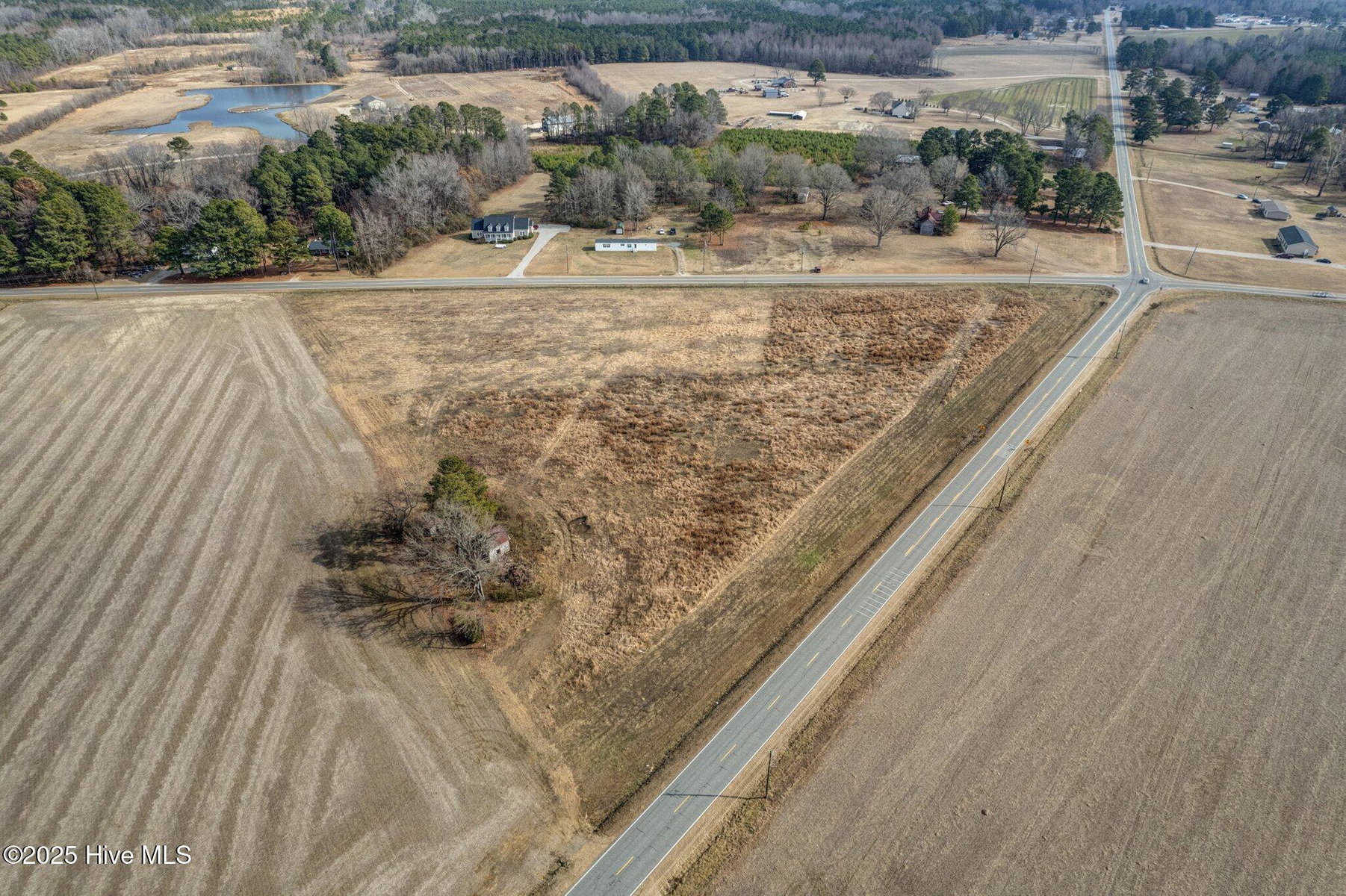 Lot 3 3 Red Oak Road, Whitakers, NC 27891 — photo 3