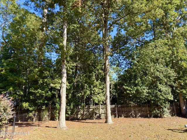 703 Daventry Drive, Greenville, NC 27858 — photo 11