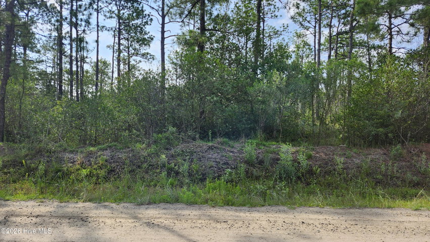 Lot 453 453 Queens Road image