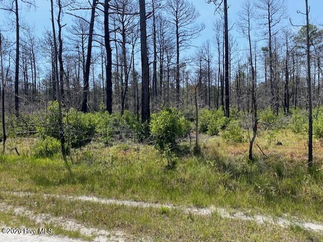 799 73 Jasmine Road image