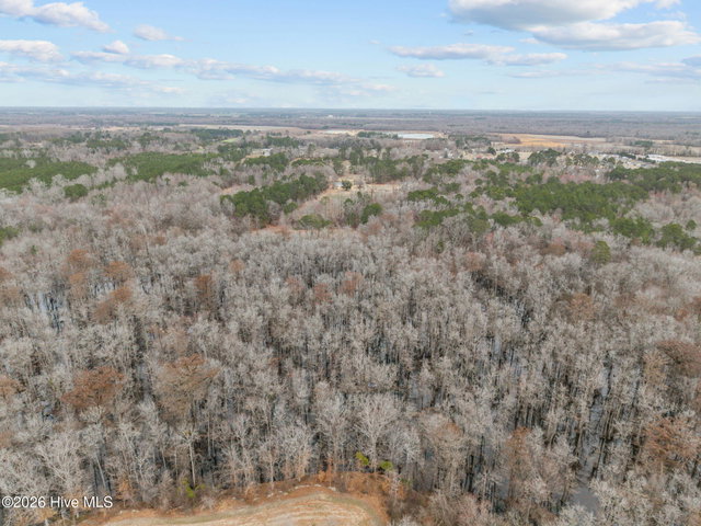 679 V A Merritt Lane, Grimesland, NC 27837 — photo 11