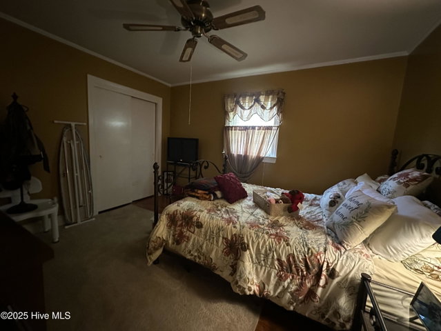 4257 Washington Street, Ayden, NC 28513 — photo 14