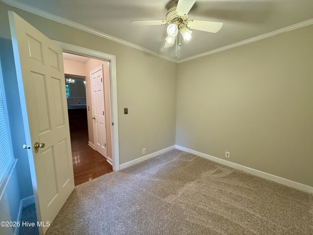 1191 Robin Lane, Jamesville, NC 27846 — photo 60
