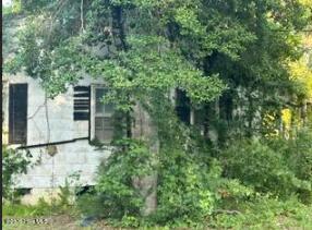 623 S Church Street, Enfield, NC 27823 — photo 4