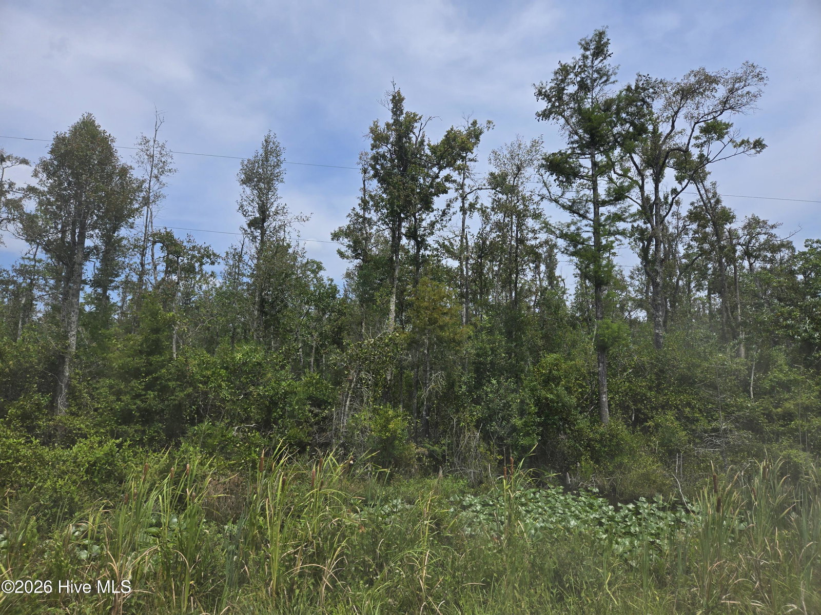 0 Elementary School Road, Columbia, NC 27925 — photo 2