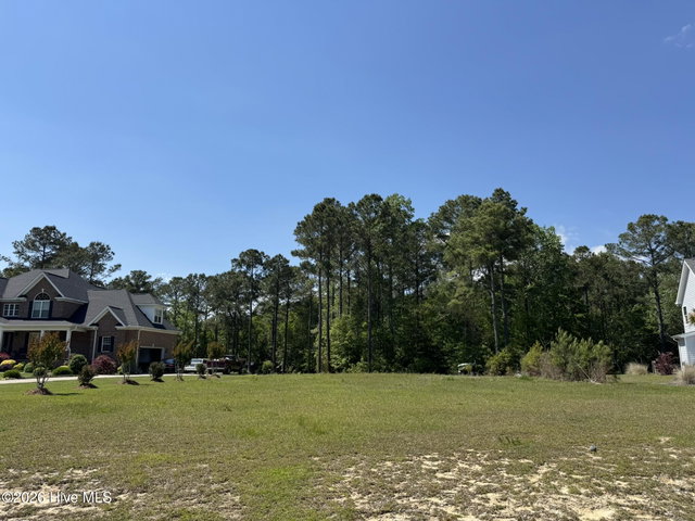 405 Palustris Court image