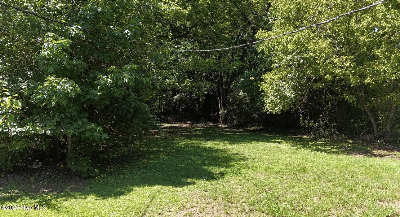 530 Thirteen Bridges Road, Enfield, NC 27823 — photo 5