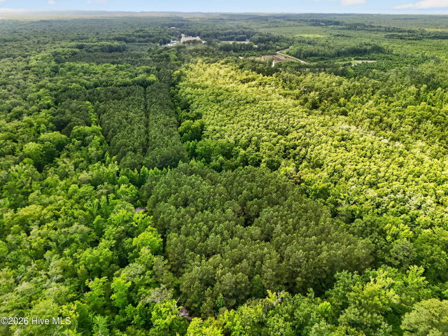 Tbd Pea Ridge Road, Roper, NC 27970 — photo 6