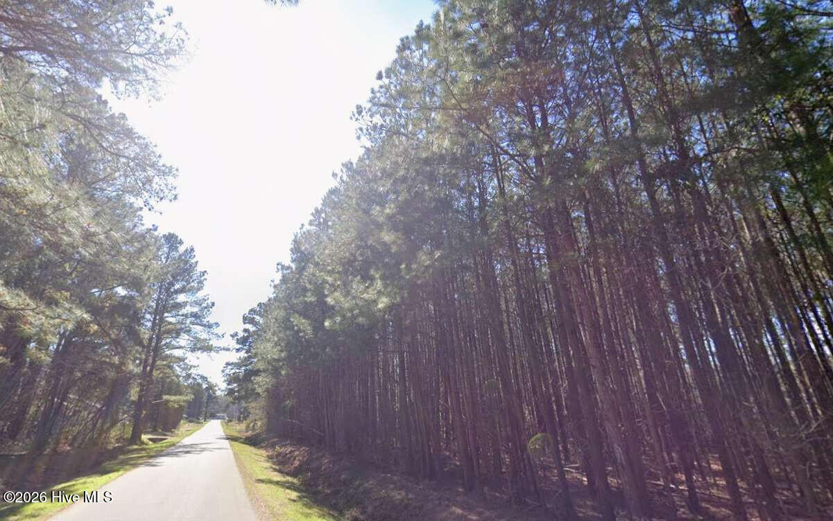 0 3rd Avenue, Hertford, NC 27944 — photo 4
