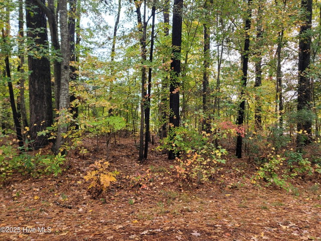 Lot #17 17 Dogwood Trail, Elizabeth City, NC 27909
