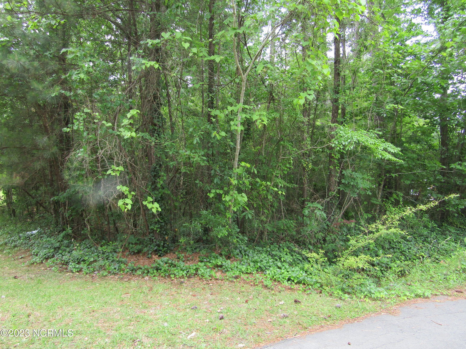 Lot 8 Quail Drive, Plymouth, NC 27962 — photo 5