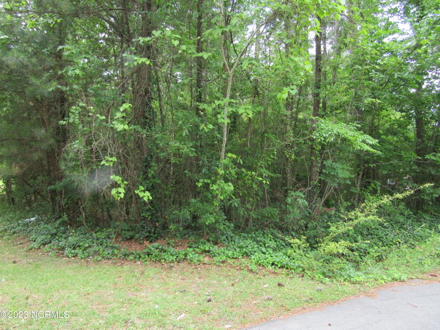 Lot 8 Quail Drive, Plymouth, NC 27962 — photo 5