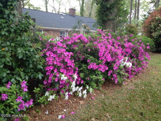 903 E Woodlawn Drive, Williamston, NC 27892 — photo 69