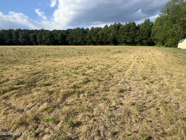 0 Tract 1 Nc 30, Stokes, NC 27884 — photo 9
