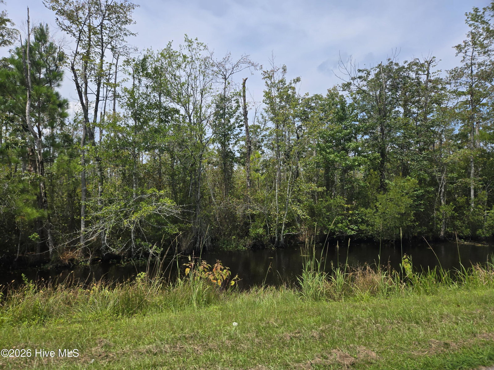 0 Elementary School Road, Columbia, NC 27925 — photo 3