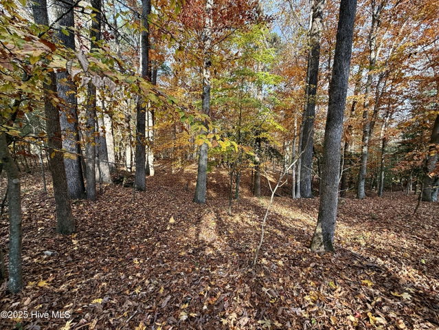 0 Williams Road, Williamston, NC 27892 — photo 10