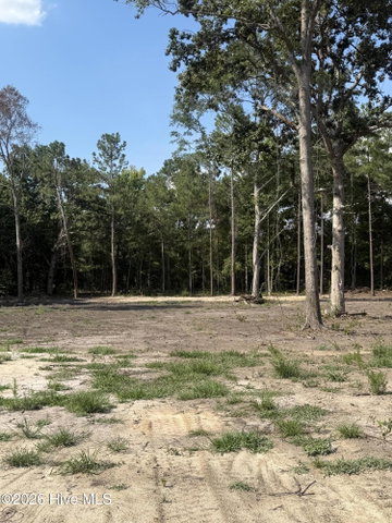 4403 L-B-3 Smith Trail NE image