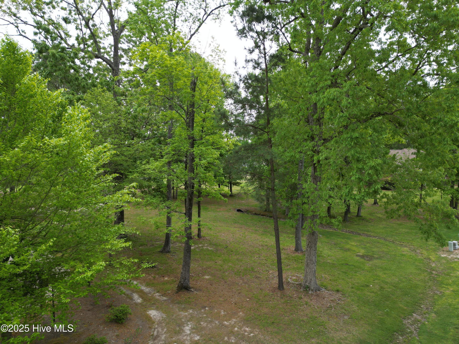 109 3 Pungo Drive, Hertford, NC 27944 — photo 4