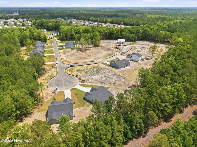 3003 Tucker Hill Drive, Grimesland, NC 27837 — photo 44