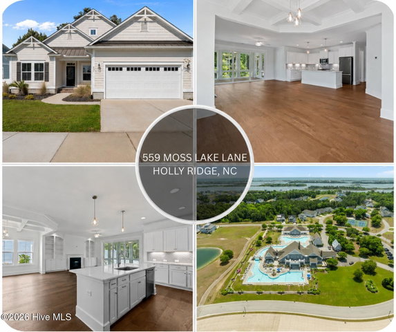 559 Moss Lake Lane image