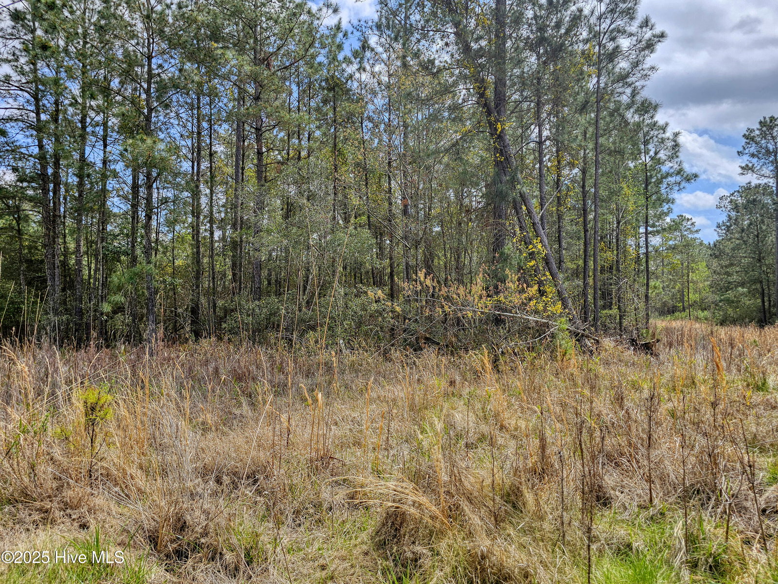 22 22 Sandy Point Road, Scranton, NC 27875 — photo 3