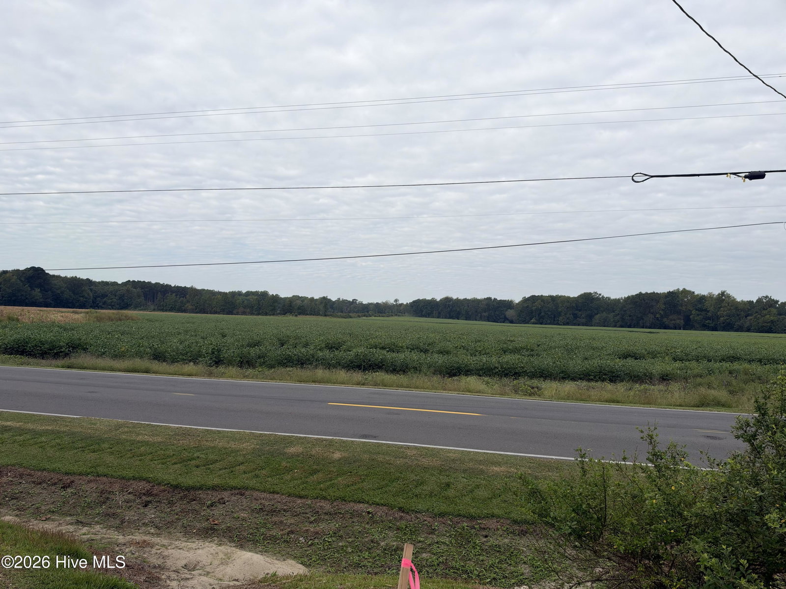 3189 Roy Beach Road, Oak City, NC 27857 — photo 2