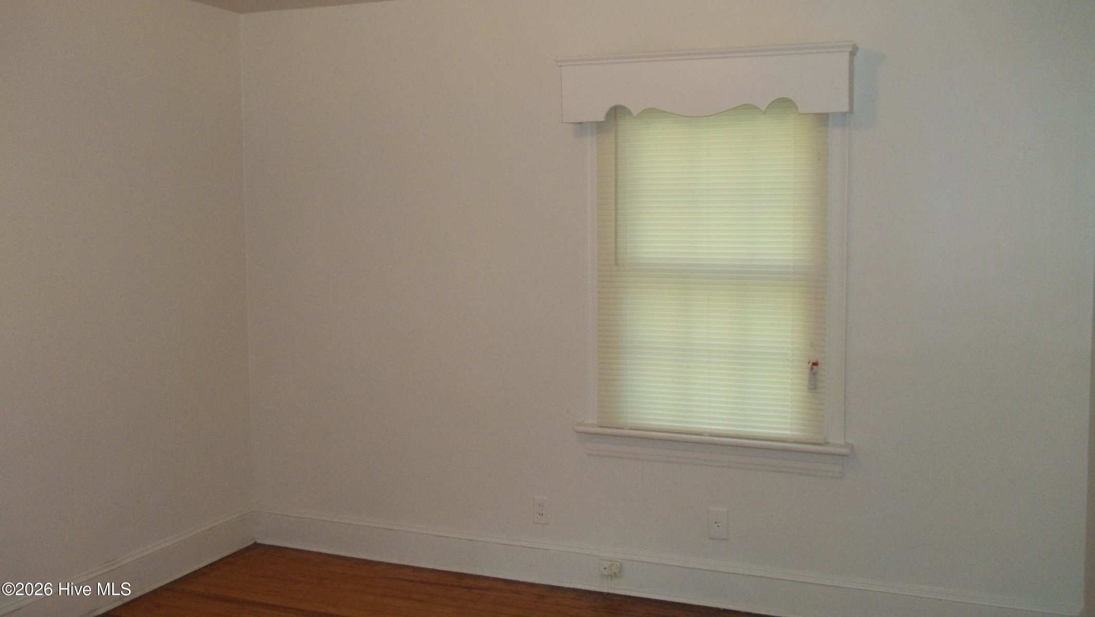 206 Hudson Street, Greenville, NC 27834 — photo 3