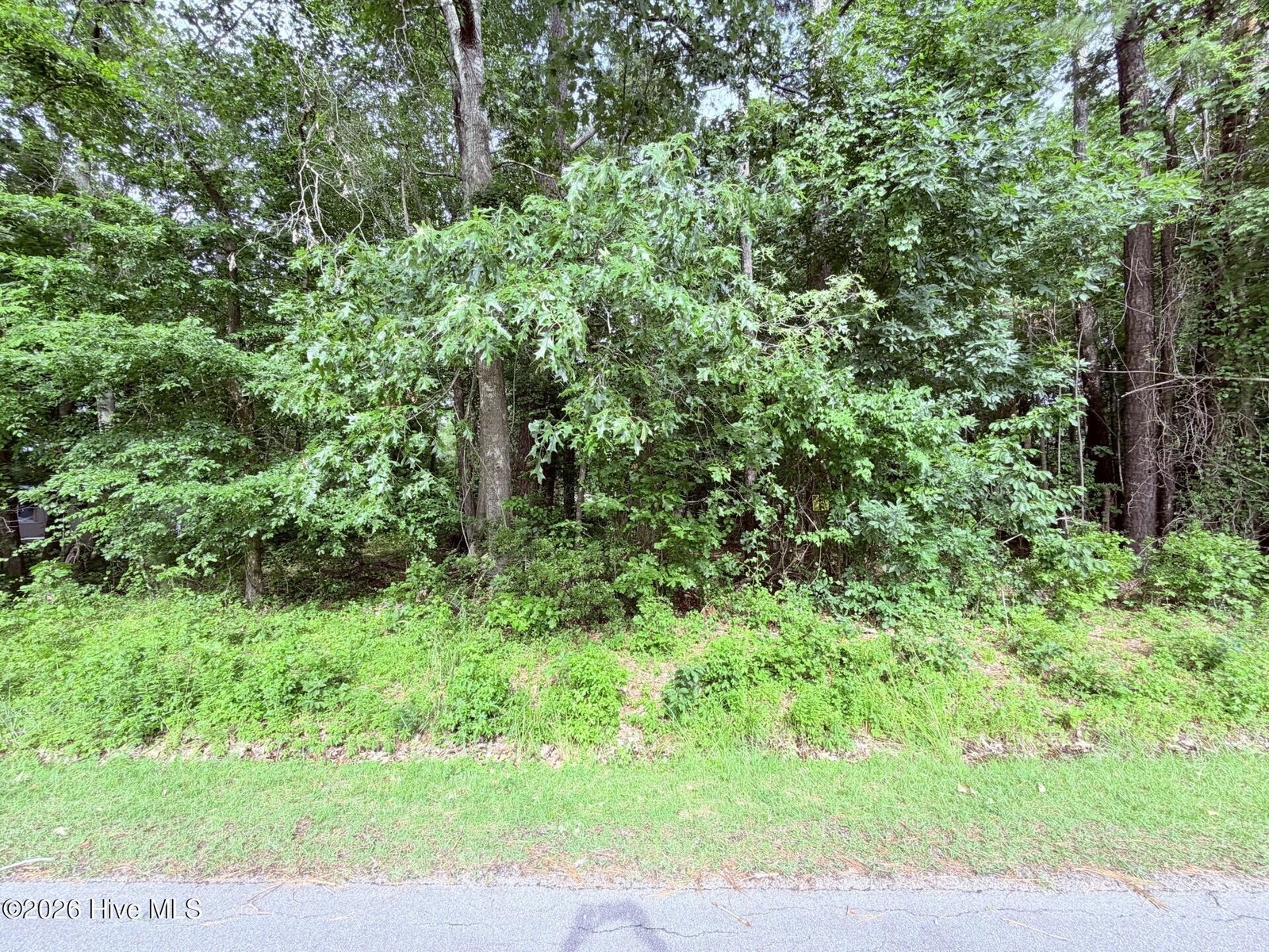 73 73 Laurel Street, Hertford, NC 27944 — photo 2