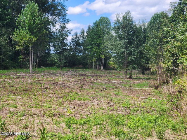 6943 1 Us 264 E, Greenville, NC 27834 — photo 7