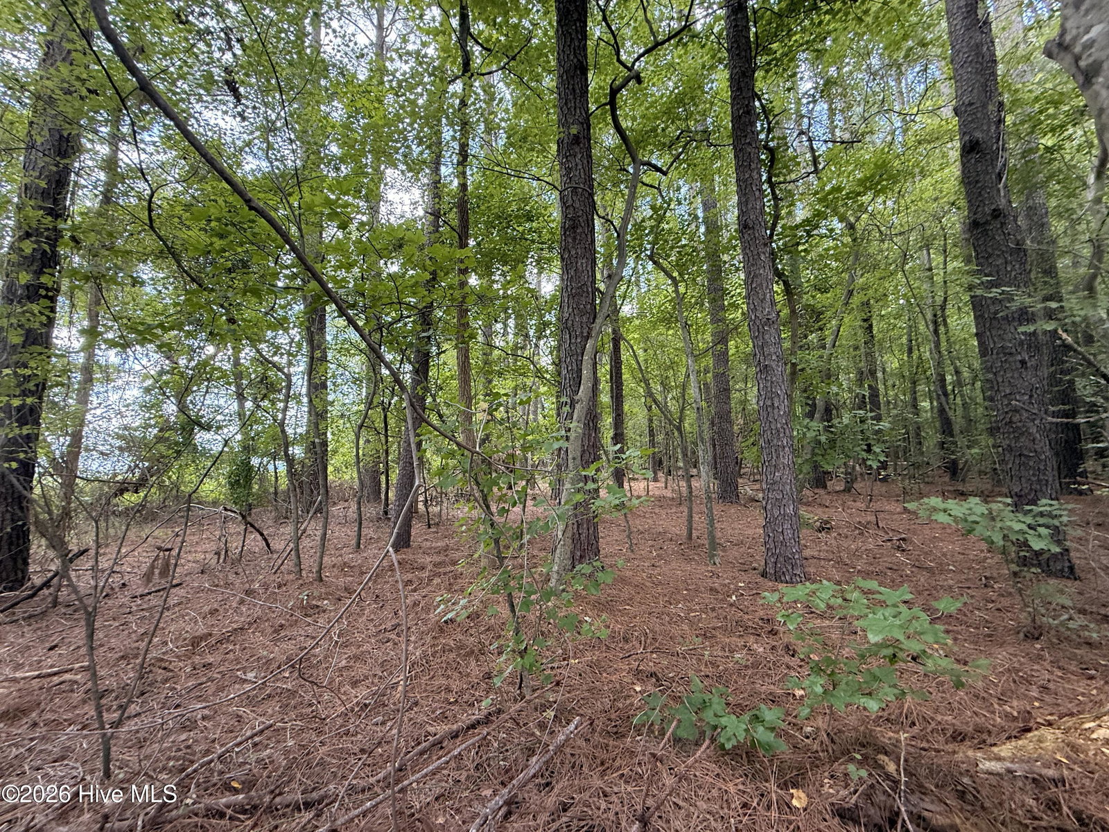 Lot 2b Holland Road, Greenville, NC 27834 — photo 2