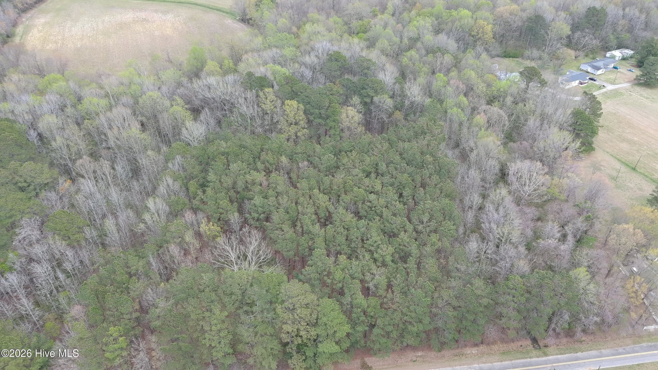 00000 NE S Sr 1134, Ahoskie, NC 27910 — photo 3