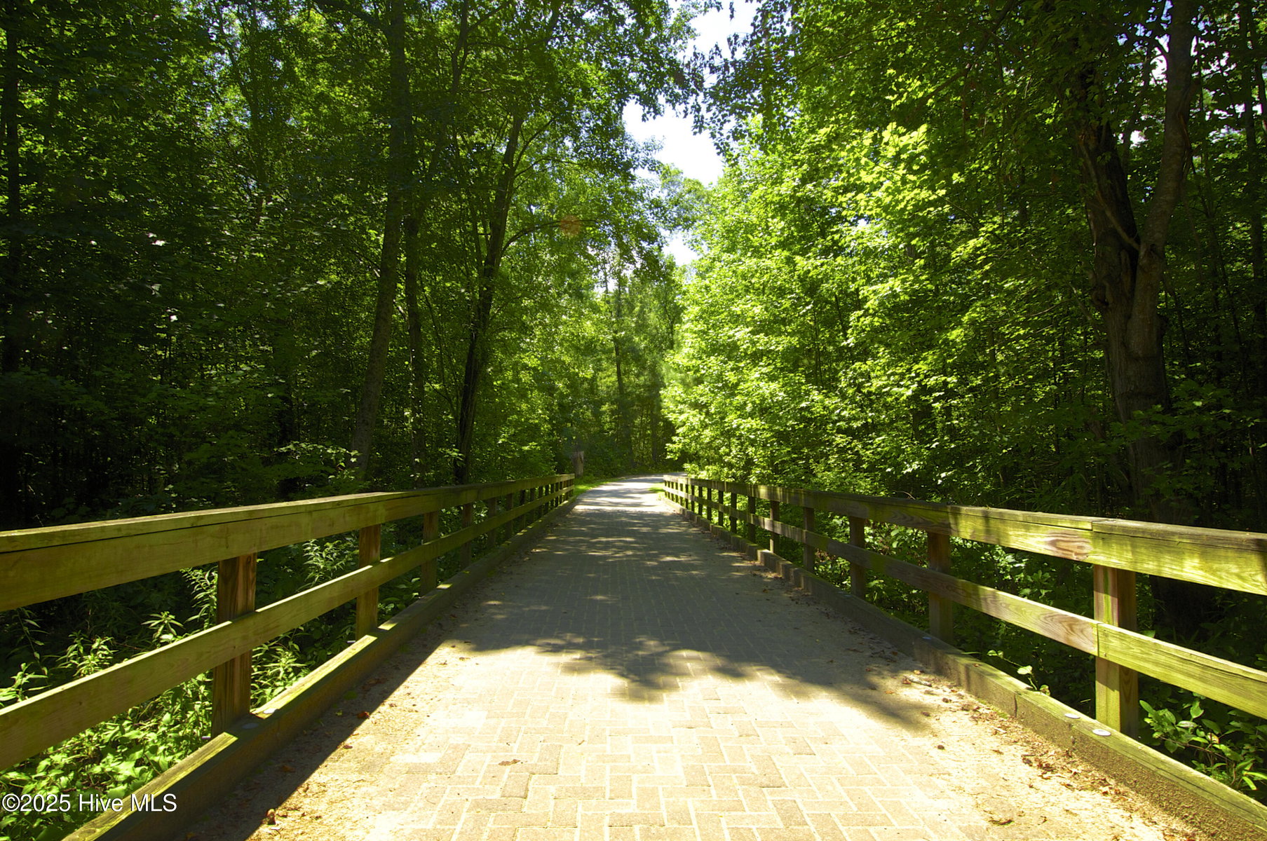 60 Turnberry, Rocky Mount, NC 27804 — photo 3