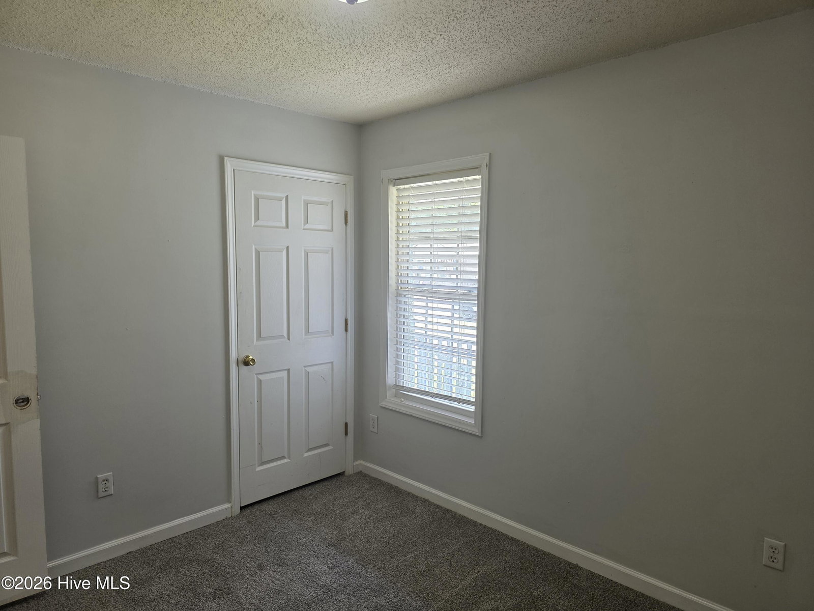 303 Olive Branch Boulevard, Grifton, NC 28530 — photo 5