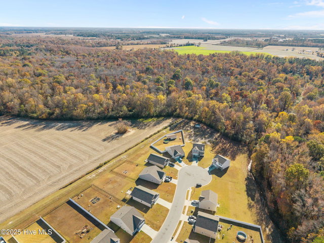 4449 Marthas Village Lane, Ayden, NC 28513 — photo 47