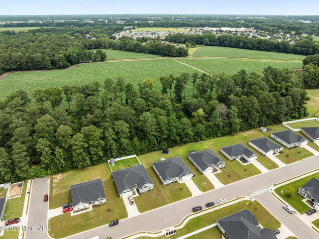 2653 Brittia Lane, Winterville, NC 28590 — photo 49