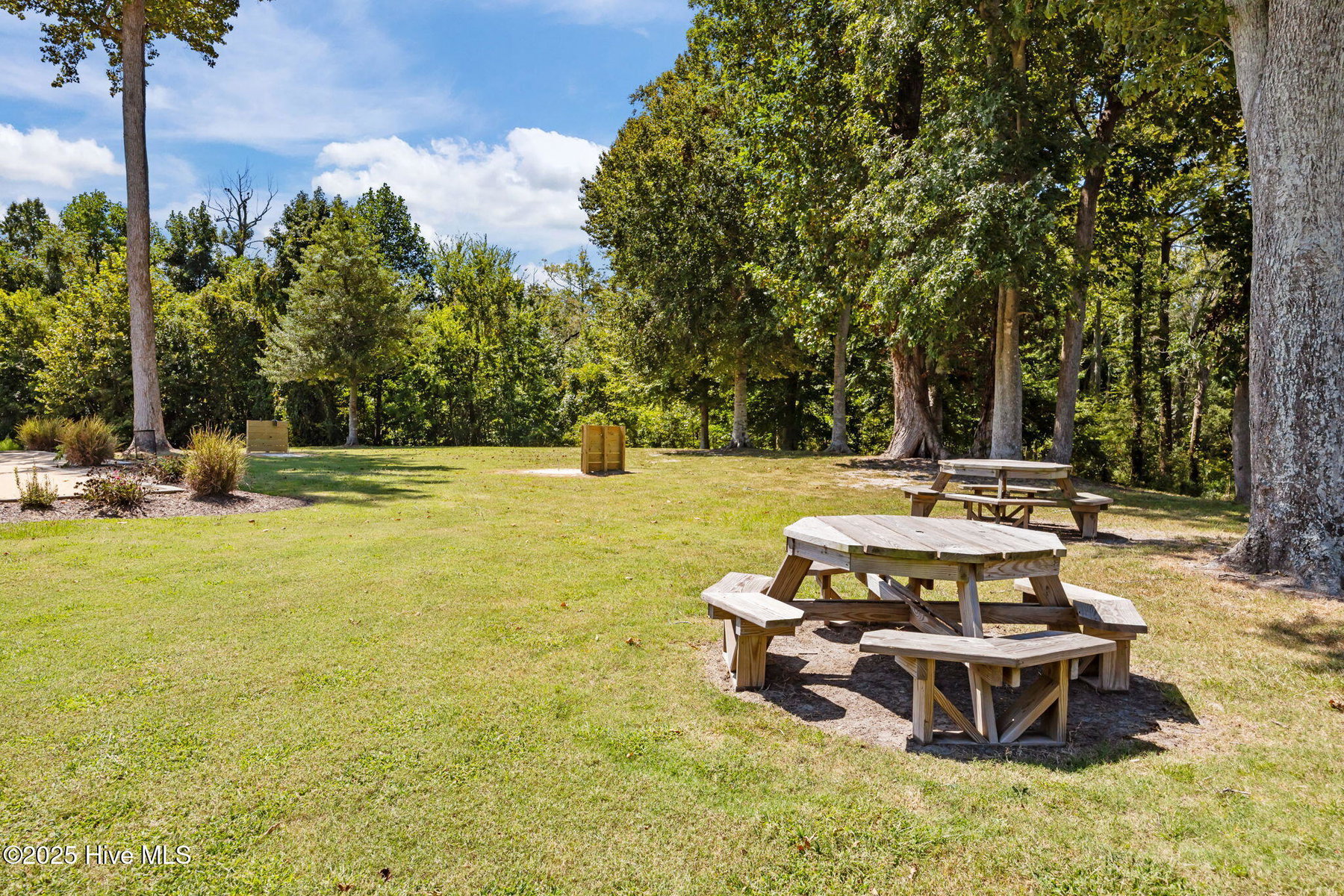 108 72 Majestic Circle, Merry Hill, NC 27957 — photo 5