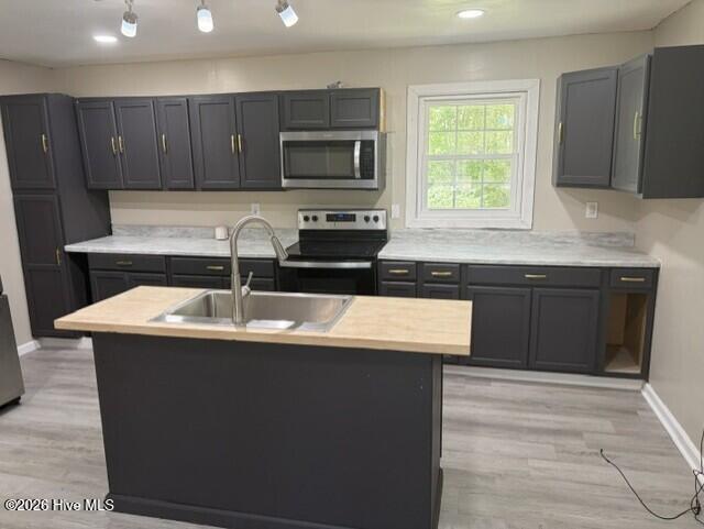 146 Cumbo Road, Rich Square, NC 27869 — photo 3