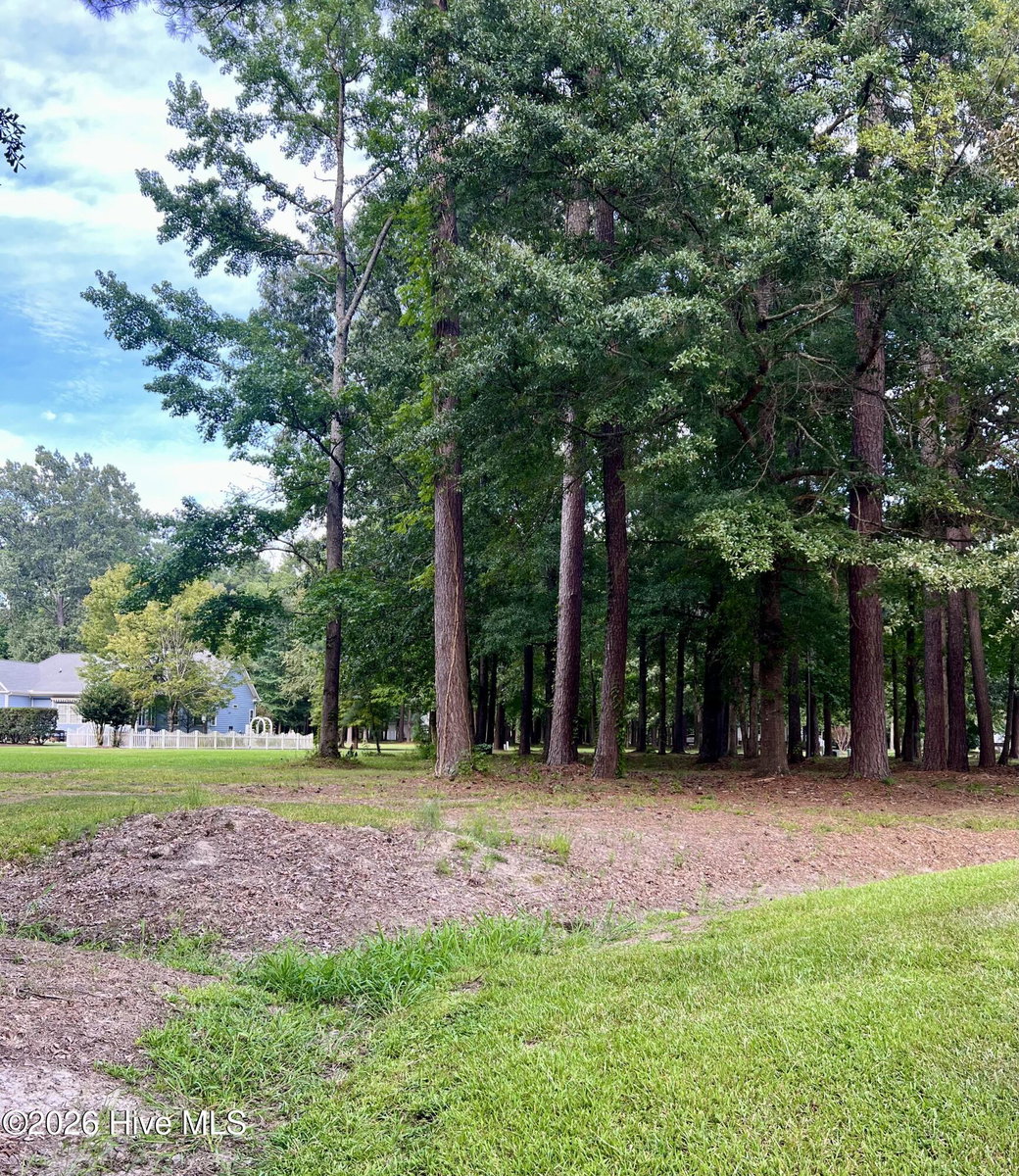 108 46 Nanthala Court W, Hertford, NC 27944 — photo 3