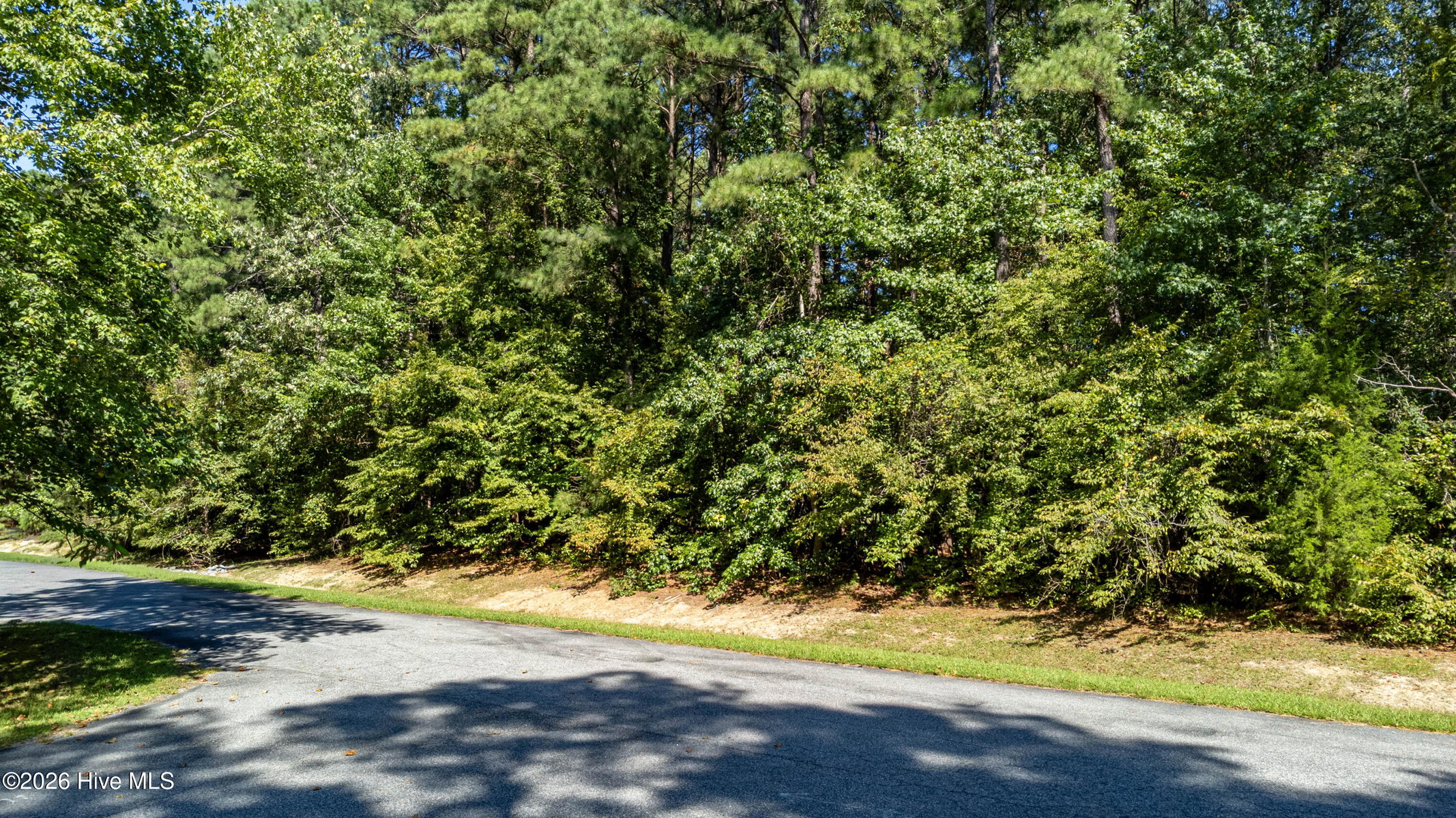 18 Suttons Landing Road, Hertford, NC 27944 — photo 4