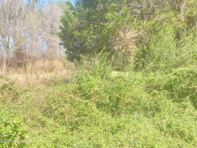 1586 Gum Swamp Church Road, Greenville, NC 27834 — photo 97