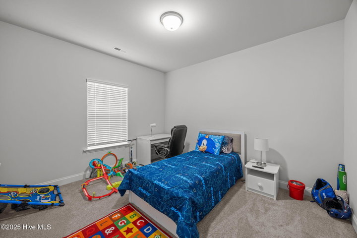 2653 Brittia Lane, Winterville, NC 28590 — photo 10