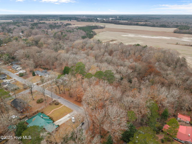 203 W Woodlawn Drive, Williamston, NC 27892 — photo 12