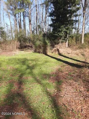 0 Hart Street, Ayden, NC 28513 — photo 9