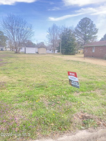 4617821019 84 Williams Street, Farmville, NC 27828 — photo 5