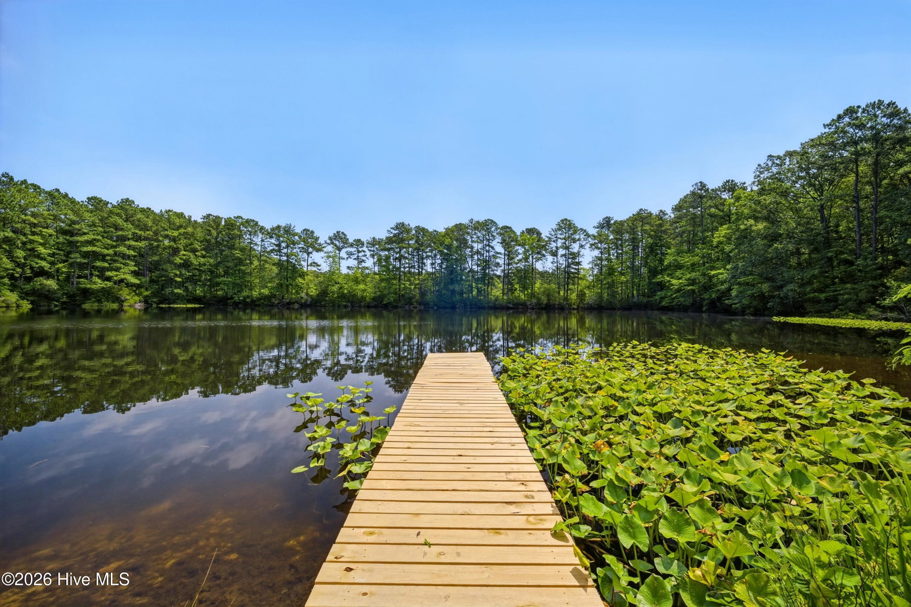 417 Hastings Lane, Elizabeth City, NC 27909 — photo 4