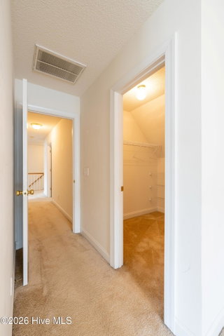 1934 Cherry Stone Lane, Greenville, NC 27858 — photo 34