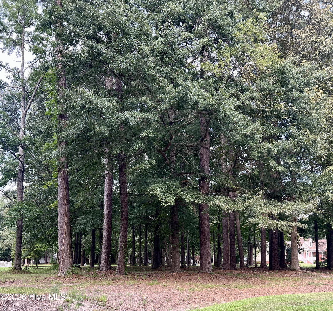 108 46 Nanthala Court W, Hertford, NC 27944 — photo 4