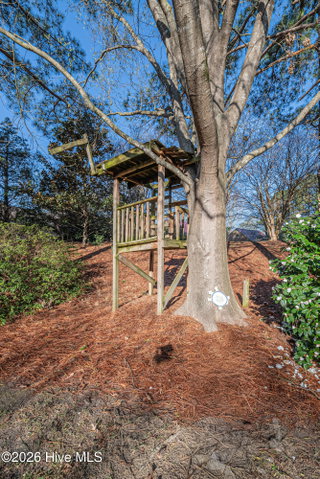 3404 Wyneston Road, Greenville, NC 27858 — photo 31